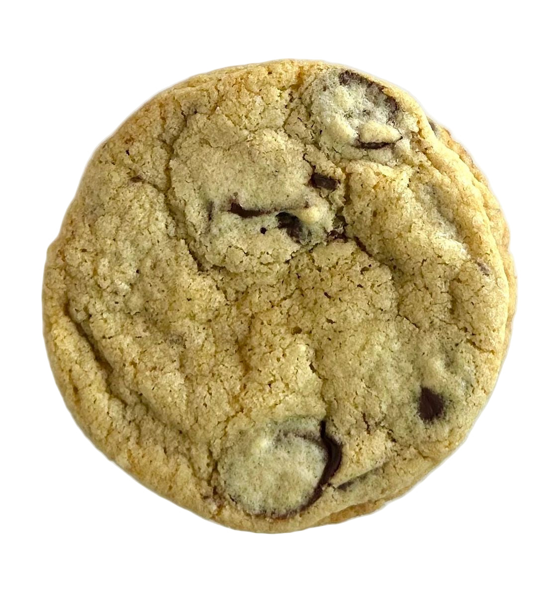 Chocolate chip cookie on a white background
