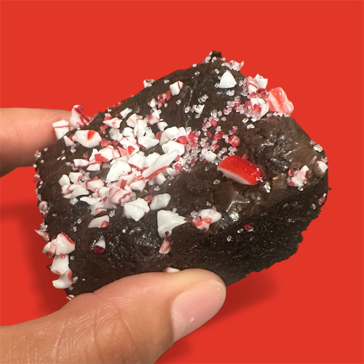 Small Joys Holiday Gift Box